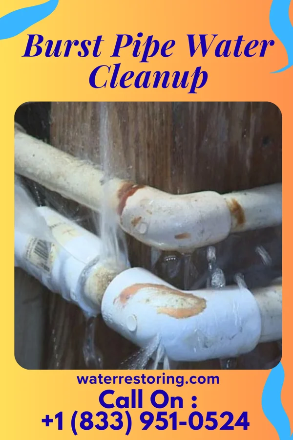 Burst Pipe Water Cleanup in Elgin, ND