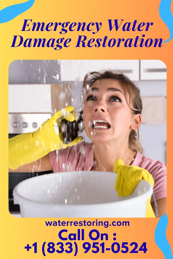 Emergency Water Damage Restoration in Elgin, ND