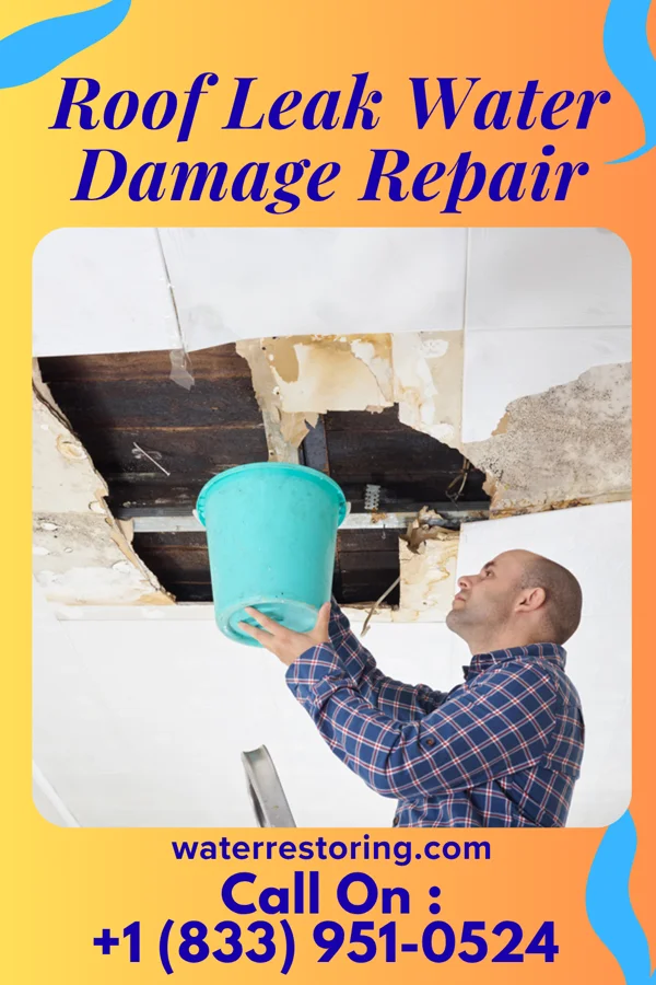 Roof Leak Water Damage Repair in Elgin, ND